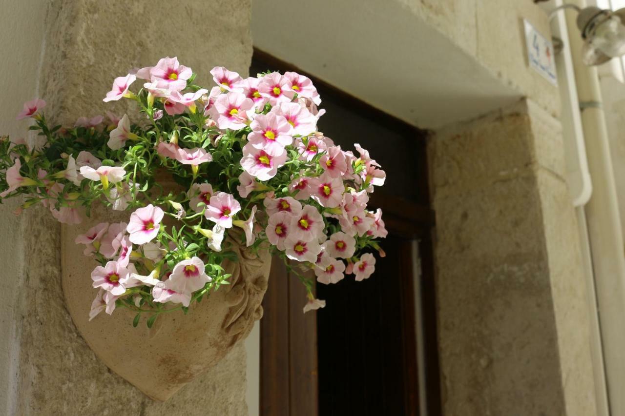 Casa Colibri